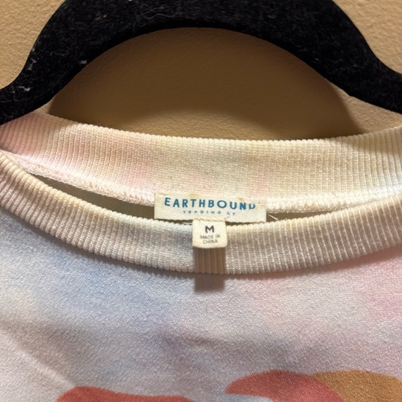 EARTHBOUND Pastel Graphic Sweatshirt - Picture 2 of 4